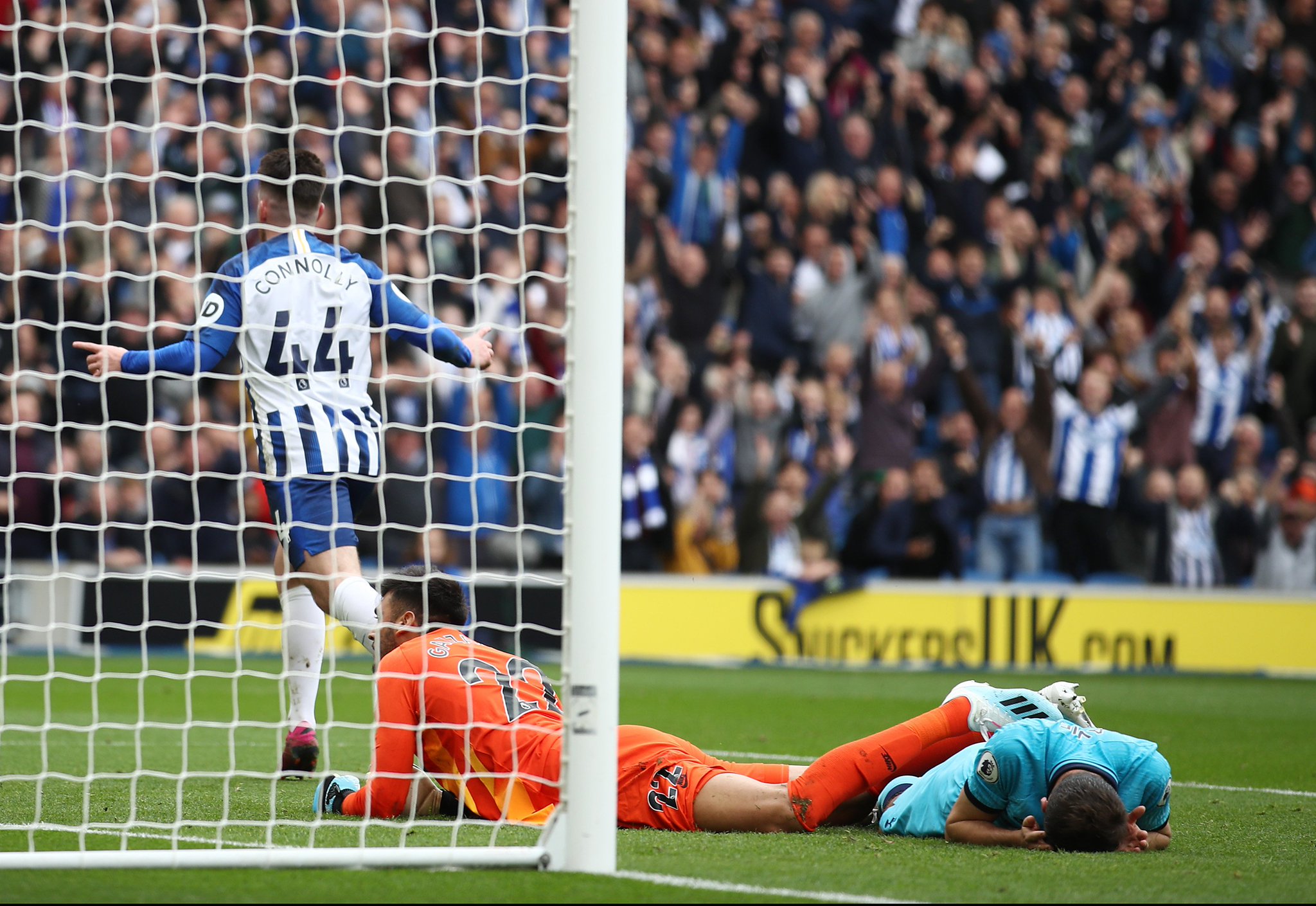 能为球迷奉 能为球迷奉